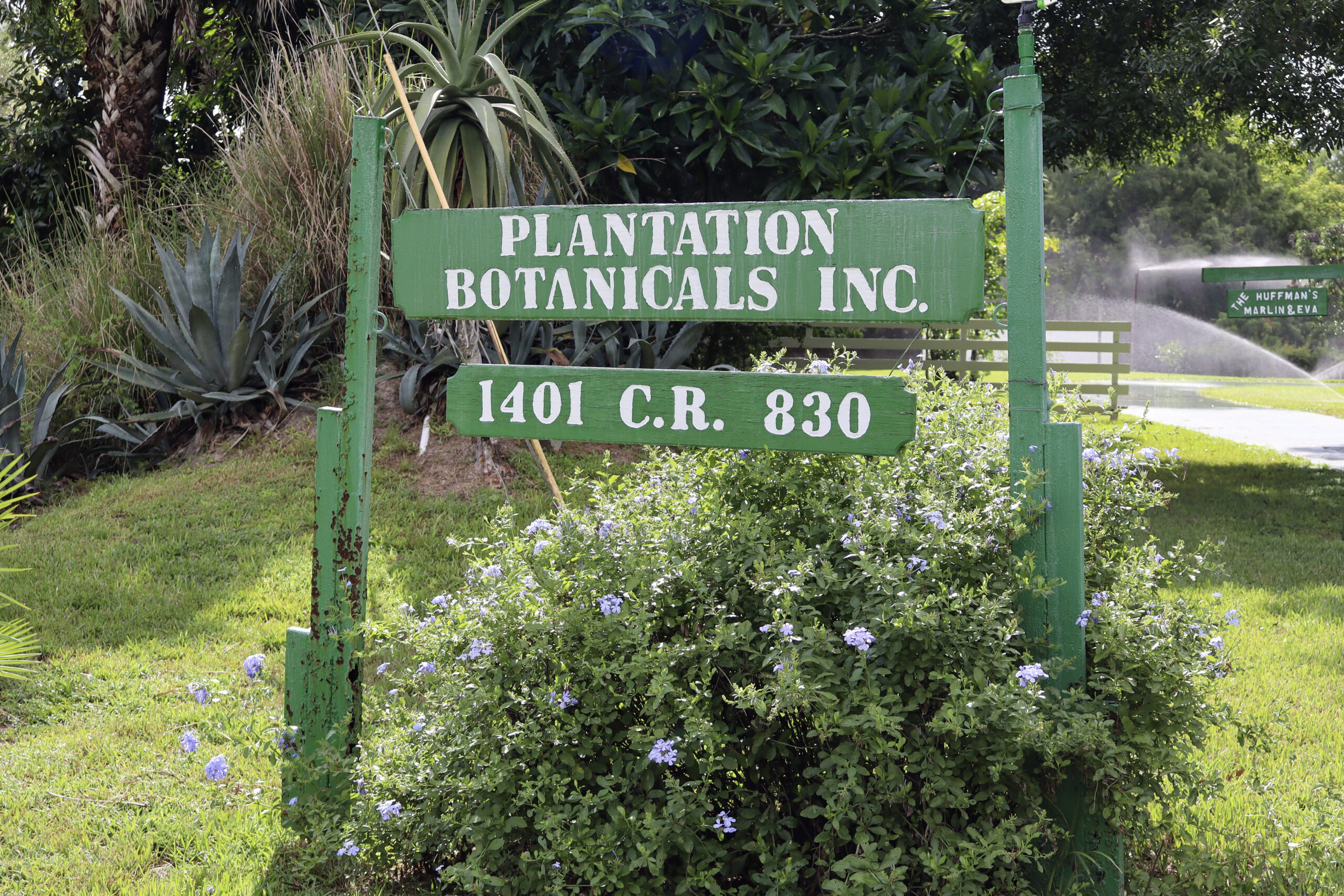 About Us - Plantation Botanicals